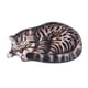 thumbnail image 1 of Alfombra De Gato Durmiendo, Felpudo Decorativo Antideslizante Para Sala De Estar Al Aire Libre, Dormitorio, Rayas, 1 of 3