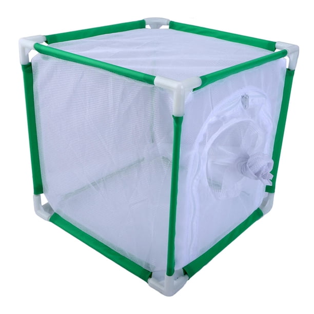 Jaula de Hábitat para Mariposas Jaula de Cría Recinto Plegable Terrario de Observación con Malla Transpirable para Visión Clara Adecuado para Educació Verde