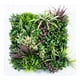 thumbnail image 1 of Jardin Vertical Calfulco, 1 of 2