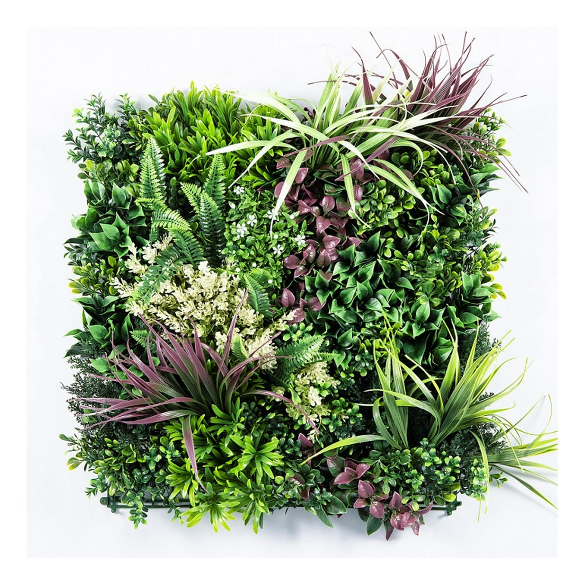 Garden Market - Jardin Vertical Calfulco