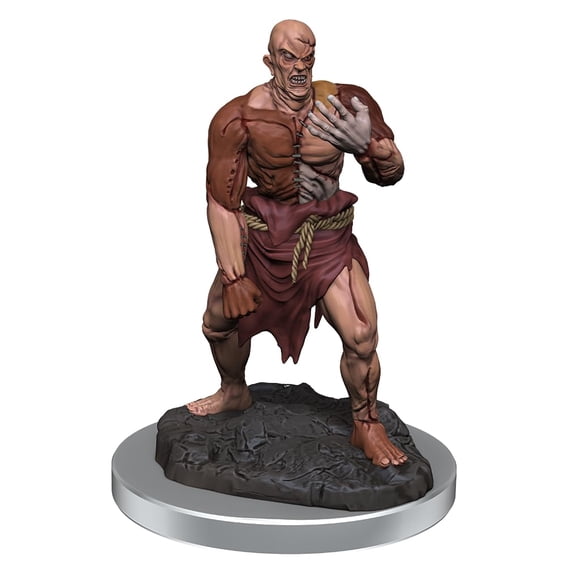 Miniaturas WizKids D&D Los maravillosos gólems de carne de D&D Nolzur x2