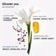 thumbnail image 3 of Perfume You Eau De Parfum Unisex Ambrox Iris, 3 of 3