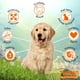 thumbnail image 2 of Alimento para perro cachorro 10Kg, 2 of 5