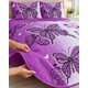 thumbnail image 5 of Cubrecama Quilt de Verano 2 plazas 230 × 250 cm con 2 Fundas, 5 of 6