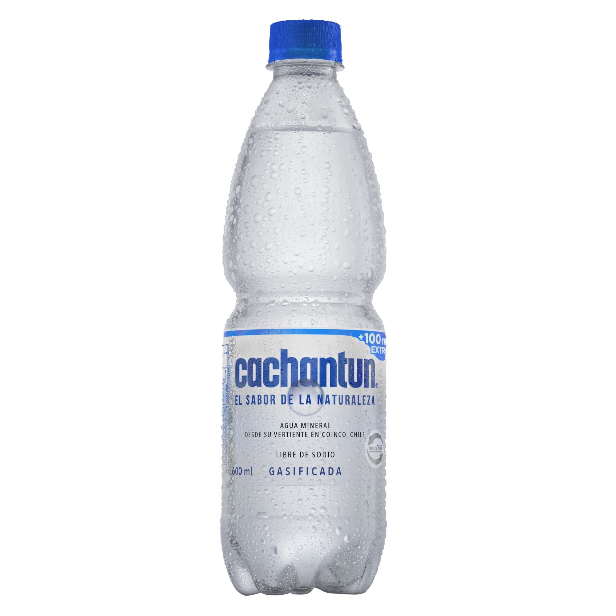 Agua Mineral Con Gas Botella 600 ml Cachantun