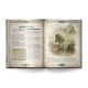 thumbnail image 2 of Libro complementario de RPG Free League Dragonbane Bestiary en tapa dura, 2 of 8