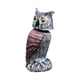 thumbnail image 2 of Señuelo de búho para asustar a los pájaros, pájaros carpinteros, escultura de búho, simulación de búho, disuasorio de aves, estatuas de búho para porc Estilo A, 2 of 5