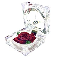 Allpa-Roseamor - Joyero Mini Con Rosa Preservada Natural Magenta