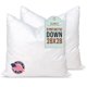 thumbnail image 1 of Almohada Pillowflex 71 cm Inserto de Plumón Sintético, 1 of 7