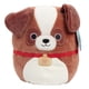 thumbnail image 1 of Juguete de peluche Sassafras, el perro San Bernardo, 25 cm, 1 of 6
