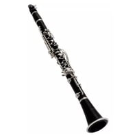 Clarinete Para Principiantes Fontaine Ft 6402E