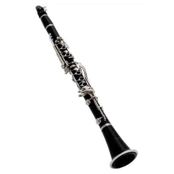 Clarinete para Principiantes Fontaine FT 6402e