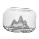 thumbnail image 3 of Cuenco De Rocalla Para Peces, Tanque De Acuario De Cristal Transparente, Betta Peque?o Para Decoración De Escritorio, 3 of 5
