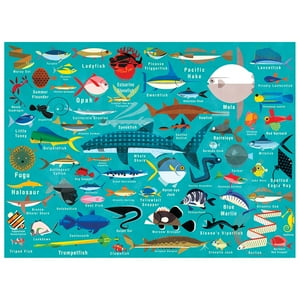 Mudpuppy - Puzzle 1000Pcs Vida Del Oceano