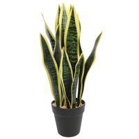 Vadell - Lengua De Suegra Amarilla 53,5 Cm