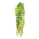 thumbnail image 1 of Helecho Colgante Fern Green 128 cm, 1 of 2
