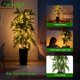 thumbnail image 3 of Árbol de dracaena artificial NOVAROOT de 1,5 m con luces y maceta negra, 3 of 9