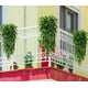 thumbnail image 4 of 4pcs Planta Colgante Artificiales Hojas Redonda De Eucalipto, 4 of 10