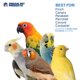 thumbnail image 4 of Cesta de productos para mascotas Prevue de Bird Toy, 4 of 7