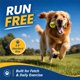 thumbnail image 2 of Pelotas de tenis INSUM 50 unidades 6 cm para perros medianos, 2 of 9