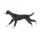 thumbnail image 3 of 1:64 Escala Modelo Pintado A Mano Mini Perro Peque?o Modelo Animal Adornos Style9, 3 of 5