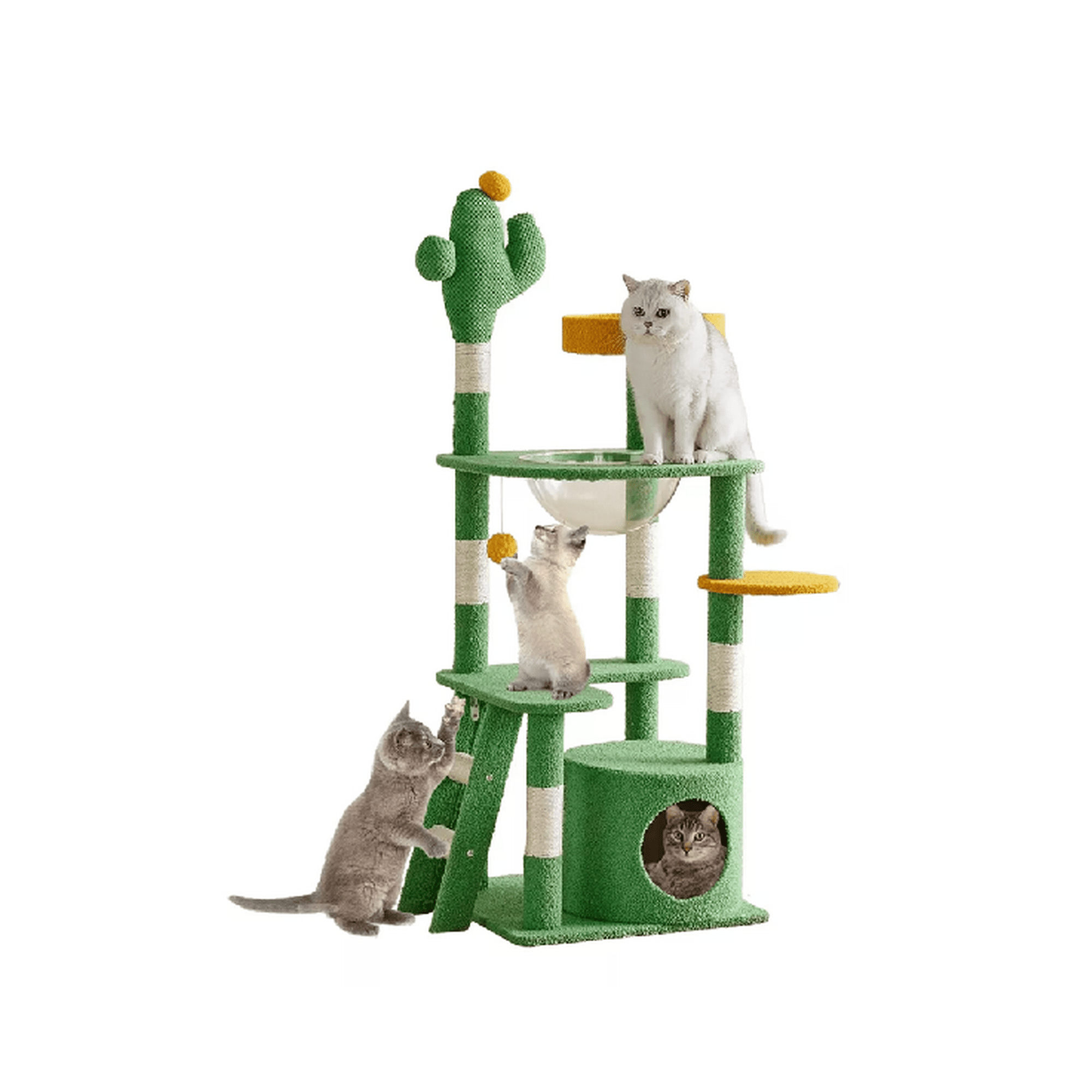 Genérico - Rascador Torre Arbol Gatos Yute Cactus Hamaca Escalera Verde