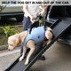 thumbnail image 5 of Arnés para levantamiento de perros Coodeo, soporte acolchado ajustable, azul, 2XL, 5 of 6