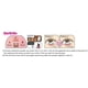 thumbnail image 5 of Paleta para el contorno de ojos CANMAKE Plumpuku Matte Glitter Pearl 1.3 g, 5 of 5