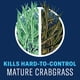 thumbnail image 3 of BioAdvanced Concentrado Eliminador de Malezas y Crabgrass para Césped 3,8 L, 3 of 9