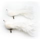 thumbnail image 1 of Decoración navideña de pájaros blancos, 10 x 2 x 3 pulgadas, 2 piezas, 1 of 7