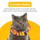 thumbnail image 5 of Cubierta para Collar de Gato Birdsbesafe – Advertencia de Seguridad para Pájaros, 5 of 9