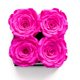thumbnail image 2 of Flores preservadas, rosas en una caja, Soho Floral Arts, color blanco y rosa, 2 of 6