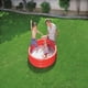 thumbnail image 5 of Piscina Inflable Bestway Redonda para niños 122X25Cm rojo Tamano Unico, 5 of 7