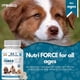 thumbnail image 3 of Multivitamínico Para Perros Nutriforce 44 En 1 120 Tabletas, 3 of 7
