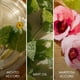 thumbnail image 3 of Brisa Cubana Edt 50ml, 3 of 7