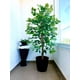thumbnail image 5 of 2 X 1 Plantas Artificiales Ficus 160 Cm Verde, 5 of 9