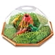 thumbnail image 4 of Crea Terrario Dinosaurios  (no contiene semillas ni compost), 4 of 5