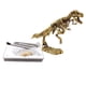thumbnail image 4 of Los Kits De Excavación De Dinosaurios Para Niños Cavan Un Dinosaurio De Juguete Educativo Tyrannosaurus, 4 of 5