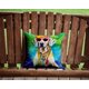 thumbnail image 4 of Almohada Decorativa Weimaraner 14x14, 4 of 6