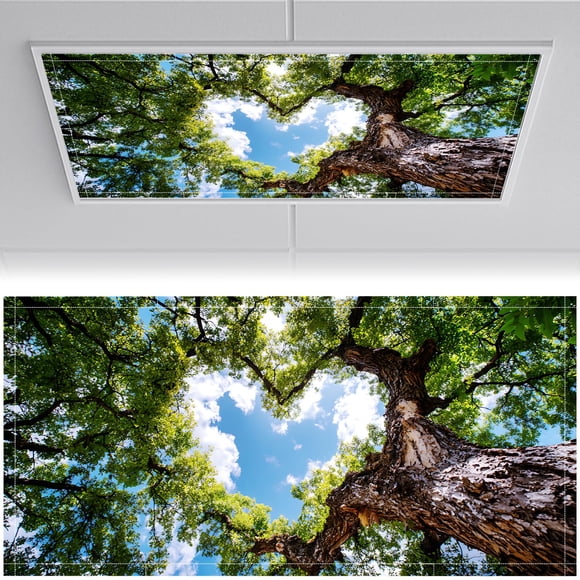 Cubiertas Magnéticas Para Lámparas Fluorescentes 2 X 4 Pies 2 Piezas