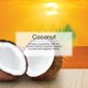 thumbnail image 5 of Ambientador LITTLE TREES Coco - Pack de 24 - Xtra Strength, 5 of 6
