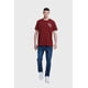 thumbnail image 4 of Polera Hombre Aplicación Burdeo, 4 of 4