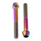 thumbnail image 1 of 2x M6 Titanium Ti Tornillo Carenado Perno Taper Cabeza Hexagonal Cónica Rainbow M6x40mm, 1 of 5