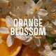 thumbnail image 2 of Perfume Panier des Sens Azahar Blossom Eau de Toilette 100 ml, 2 of 7