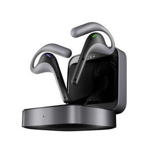 Auriculares Translator Timekettle W4 Pro Ai Interpreter, Color Gris