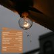 thumbnail image 4 of Bombillas de repuesto Rincentd G40 5 W 120 V Clear Globe (paquete de 25), 4 of 7