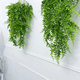 thumbnail image 3 of Plantas artificiales 5 uds boston fern verdes, 3 of 3