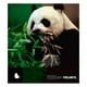 thumbnail image 2 of Cuaderno Universitario Nature 100 Hojas, producto surtido, 2 of 3