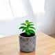 thumbnail image 3 of Maceta de cemento cobre/gris 13 cm, 3 of 3