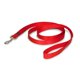 thumbnail image 1 of Correa PetSafe de nailon para perros, 1 pulgada x 6 pies, resistente y duradera, roja, 1 of 6